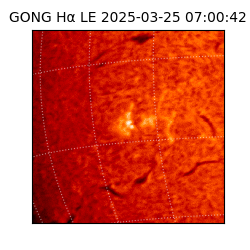 gong - 2025-03-25T07:00:42