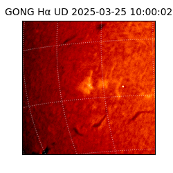 gong - 2025-03-25T10:00:02