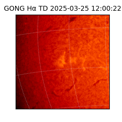 gong - 2025-03-25T12:00:22