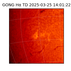 gong - 2025-03-25T14:01:22