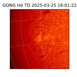 gong - 2025-03-25T16:01:22
