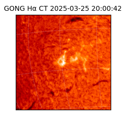 gong - 2025-03-25T20:00:42