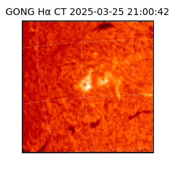 gong - 2025-03-25T21:00:42