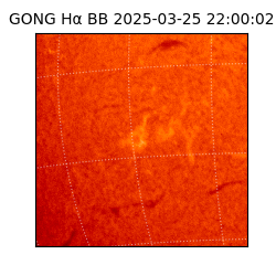 gong - 2025-03-25T22:00:02