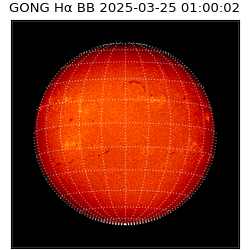 gong - 2025-03-25T01:00:02