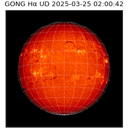 gong - 2025-03-25T02:00:42
