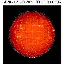 gong - 2025-03-25T03:00:42