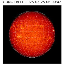 gong - 2025-03-25T06:00:42