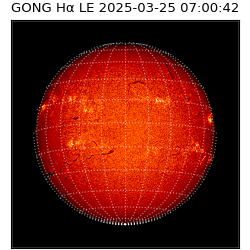 gong - 2025-03-25T07:00:42