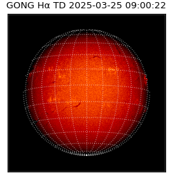 gong - 2025-03-25T09:00:22