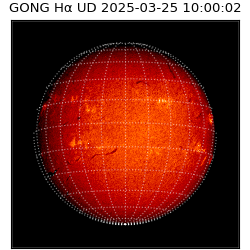 gong - 2025-03-25T10:00:02