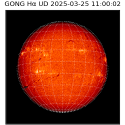 gong - 2025-03-25T11:00:02