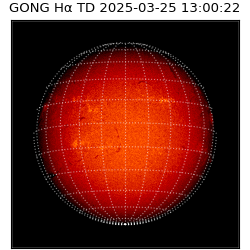 gong - 2025-03-25T13:00:22