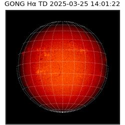 gong - 2025-03-25T14:01:22