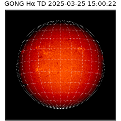 gong - 2025-03-25T15:00:22