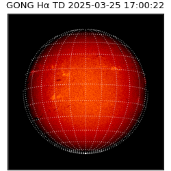 gong - 2025-03-25T17:00:22