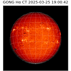 gong - 2025-03-25T19:00:42