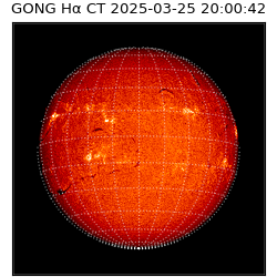 gong - 2025-03-25T20:00:42