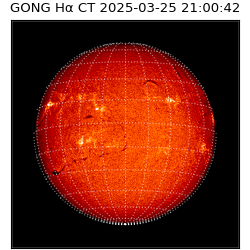 gong - 2025-03-25T21:00:42