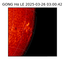 gong - 2025-03-26T03:00:42