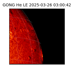 gong - 2025-03-26T03:00:42