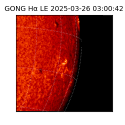 gong - 2025-03-26T03:00:42