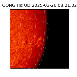 gong - 2025-03-26T08:21:02