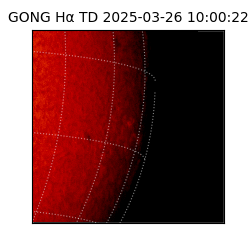 gong - 2025-03-26T10:00:22