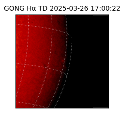 gong - 2025-03-26T17:00:22