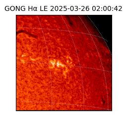 gong - 2025-03-26T02:00:42