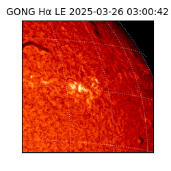 gong - 2025-03-26T03:00:42
