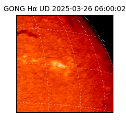 gong - 2025-03-26T06:00:02