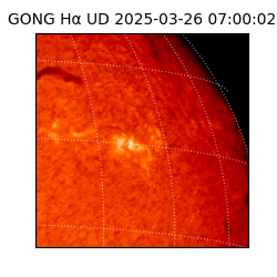 gong - 2025-03-26T07:00:02