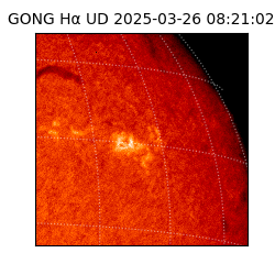 gong - 2025-03-26T08:21:02