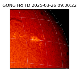 gong - 2025-03-26T09:00:22