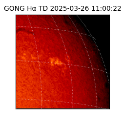 gong - 2025-03-26T11:00:22
