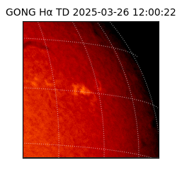 gong - 2025-03-26T12:00:22