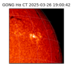 gong - 2025-03-26T19:00:42