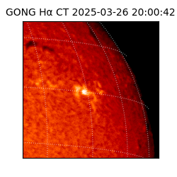 gong - 2025-03-26T20:00:42