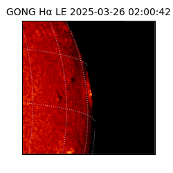 gong - 2025-03-26T02:00:42