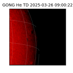 gong - 2025-03-26T09:00:22