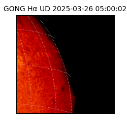 gong - 2025-03-26T05:00:02
