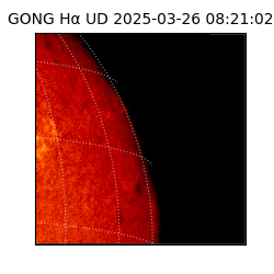 gong - 2025-03-26T08:21:02