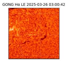 gong - 2025-03-26T03:00:42