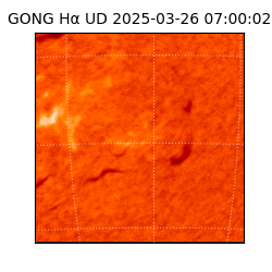 gong - 2025-03-26T07:00:02