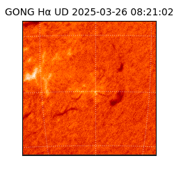 gong - 2025-03-26T08:21:02