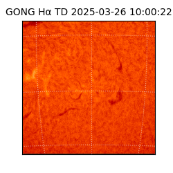 gong - 2025-03-26T10:00:22