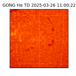 gong - 2025-03-26T11:00:22