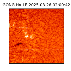 gong - 2025-03-26T02:00:42