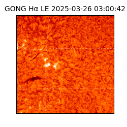 gong - 2025-03-26T03:00:42